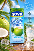 GOYA 100% Coconut Water – Kokoswasser 330 ml 🥥💧
